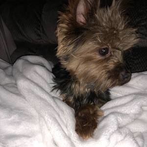 Meet your Posher, Colleen